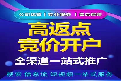 百度竞价推广运营策略解析与实战案例